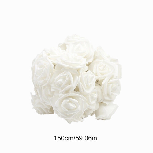 LED Rose String Lights Warm White 33ft US Plug 2