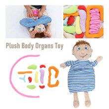Kinderen Gemonteerd Pluche Lichaamsorganen Speelgoed Menselijk Lichaam Anatomie Pluche Wetenschap Leermiddelen Tool Educatief Speelgoed