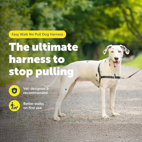 Ζώνη Easy Walk για σκύλους – Χωρίς τράβηγμα, Πατενταρισμένη θηλιά Martingale, Κλιπ 1