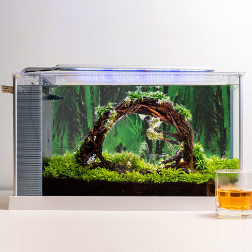 1 pieza de fondo decorativo rectangular verde de doble cara para acuarios. 2