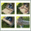 Inflatable Camping Air Mat Single with PU Foam Core Brown 4