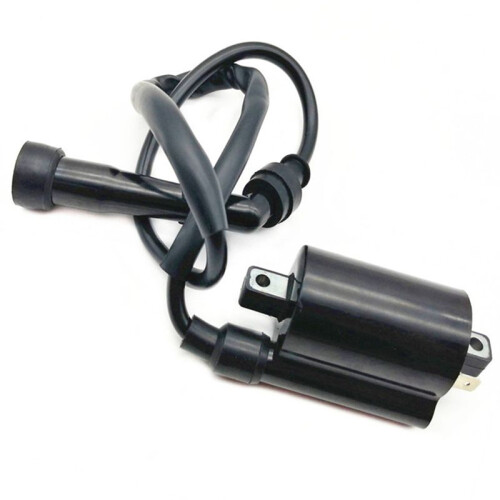 2pcs Motorcycle Ignition Coil Ignition System Unit for  V Star 650 1999 -2014 GN250 ATV 300CC 2