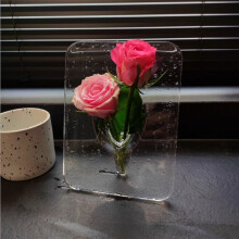 Vase Acrylic Photo Frame Vase Hydroponic Flower Planter Transparent Vase Transparent