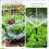 100PCS 2GPH Pressure Compensating Drip Irrigation Spot Watering Drippers/Emitters, for Drip Irrigation System 2