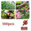 100PCS 2GPH Pressure Compensating Drip Irrigation Spot Watering Drippers/Emitters, for Drip Irrigation System 5