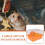 conjunto de gaiola para hamster para viagens, transporte e uso doméstico, pequenos animais de estimação, 11,4 x 6,7 x 6,1 polegadas 8