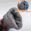 Fishing Work Gloves Thermal Windproof Unisex1Pair 5