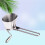 Spice Processing Grater Silver 1Set 7.86X6.48X2.36in 4
