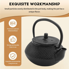 ThéIèRe en Fer avec Infuseur en Acier Inoxydable, ThéIèRe en Fonte Japonaise, Thé Oolong, Thé Puer, Bouilloire à Thé 300ML