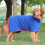 Albornoz absorbente ajustable para secar perros 4