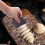 Non-Scratch Pan Scraper Set, Multi-Function Kitchen Scraper Tool, Sturdy Plastic Dish Scraper, Brown, 2.36x2.95 Inch (1 Pc) 6