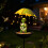 Solar Bird Feeder and Courtyard Light Ground Insert Fixture 5