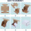 50Pack7x5x4Shipping Boxes για μικρές επιχειρήσεις συσκευασίας, λευκά κυματοειδή χαρτονένια 5