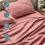 Queen Sheet Set – Ultra-Soft Hydro-Brushed Microfibre, 3