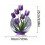 Purple Tulip Acrylic Desktop Decor 1pc 2