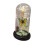 Galaxy Glass Rose Crystal Dome Gave til hende 2