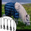 5 Pcs Adjustable Elastic Horse Blanket Strap Easy to Remove and Replace Horse Blanket Leg Straps 5
