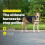 Easy Walk Dog Harness – Pull-Free, Patented Martingale Loop, Front Clip, Breathable & Comfortable – X-Large, Charcoal/Black 2