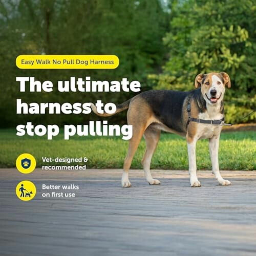 Easy Walk Dog Harness – Pull-Free, Patented Martingale Loop, Front Clip, Breathable & Comfortable – X-Large, Charcoal/Black 1