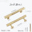 Brass Cabinet Pulls Brushed Gold 4 pcs 3.75 inch 2