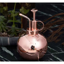 1Pc Spray Bottle 500ml Stainless Steel Watering Can Indoor Plants Gardening Tool