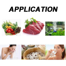 2000mg/H Ozone Generator Machine Home Air Water Sterilizer Purifier Disinfection for Oil Fruits Meat Food EU Plug