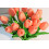 Real-Touch neptulpen 14 inch 15 stuks 3