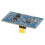 Electronic Volume Adjustment Controller Module Onboard 3W Audio Digital Power Amplifier Board Button to Adjust Sound 5