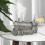 Humidificateur de train à double brume 300 ml Diffuseur de brume fraîche 2