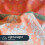 Boho Comforter Set Coral Green King Size 3 Pieces 5