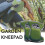 Garden Tools, Knee Pads Kneelet Protective Gear For Work Construction Gardening 3