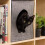 Cat Bed Cube House Warm Felt Nest Foldable Portable Carrier 4