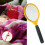 Electric Bug Zapper Fly Swatter Zap Mosquito D1I2 7