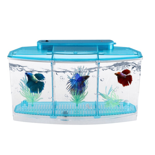 WRITWAA Self-Cleaning Blue Fish Tank with Three Grid Design Perfect for Home Display 2