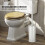 WC-Bürsten-Set, ansprechendes Design, geruchsreduzierend, 2er-Pack 3