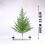 Mini Artificial Spruce Christmas Tree Desktop Ornament 3