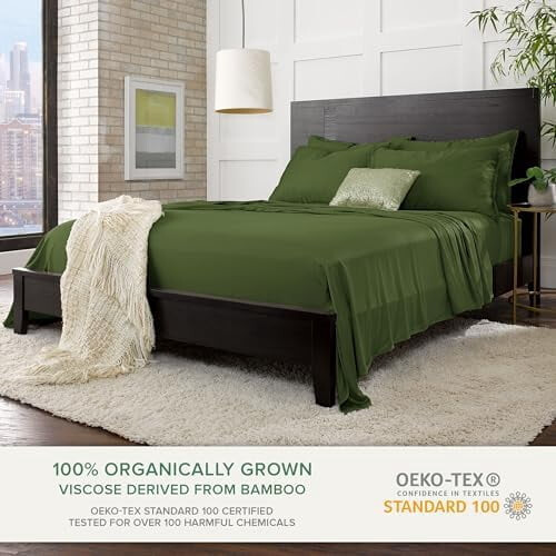 Organic Bamboo Viscose Queen Pillowcases 2 Pack 2