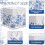 Blue Floral Cube Storage Bins 11.22" 6 Pack 2