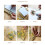 LingStar double glass pressed flower frame 6 inch 5