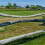 Barbed Wire Roll Outdoor Garden Fence Replacement 8