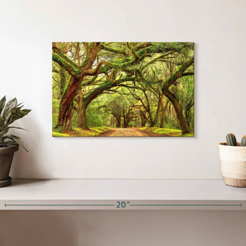 Obraz ścienny „Charleston Oak Forest” – Poziomy obraz na płótnie – Dekoracja ścienna do salonu – Płótno naturalne – 1