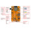 2.8-Inch ESP32 WiFi -Compatible Development Board ST7789 Driver LCD Display Type C+Micro USB Dual Interface 4