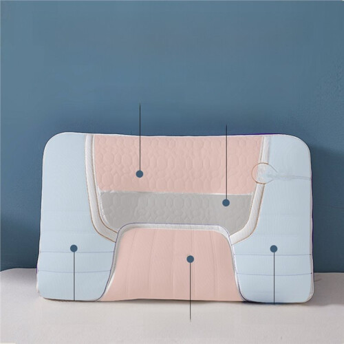 L Rubber Latex Memory Pillow Pair Home Use Single Person Student Dormi Rectangular Ape 2