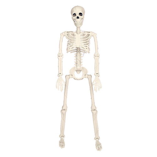 16" Realistic LED Skeleton Prop with Posable Joints 1