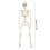 16" Realistic LED Skeleton Prop with Posable Joints 3