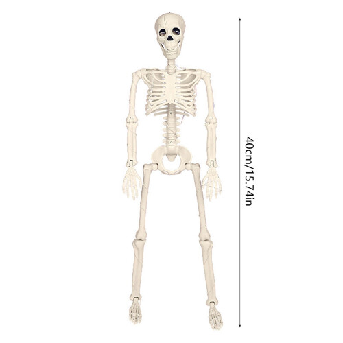 16" Realistic LED Skeleton Prop with Posable Joints 2