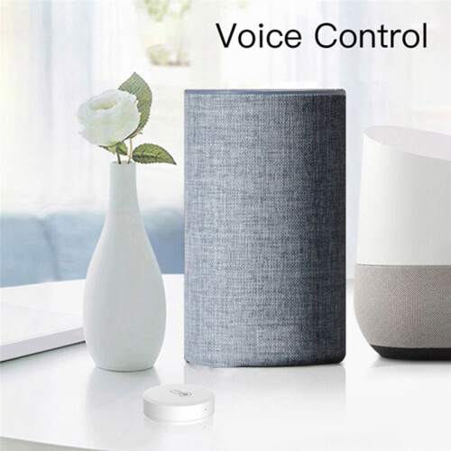 Graffiti Zigbee  Temperature and Humidity Sensor  Home Link Wireless Temperature and Humidity Sensor 1