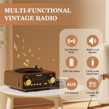 Retro Vinyl Player Style Radio Speaker, Portable AM/FM/SW Radio with Wireless Streaming,Vintage Decor for Home