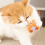 Crinkle Stuffed Cat Toy for Cats PP Fill 1 Piece 4
