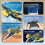 Τηλεχειριζόμενο ιπτάμενο ξίφος RC Glider Drone για ενήλικες, χειρονομίες και 5